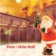 PACK/VISITE GUIDEE NOËL